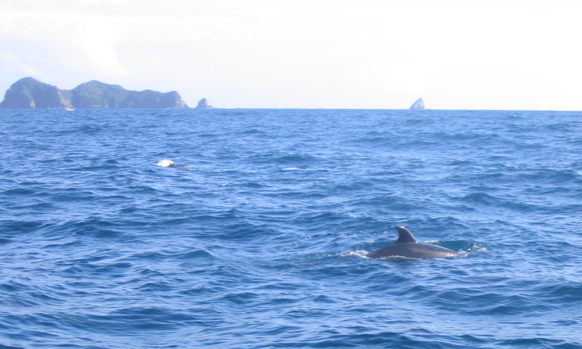 ContextOpen Solutions