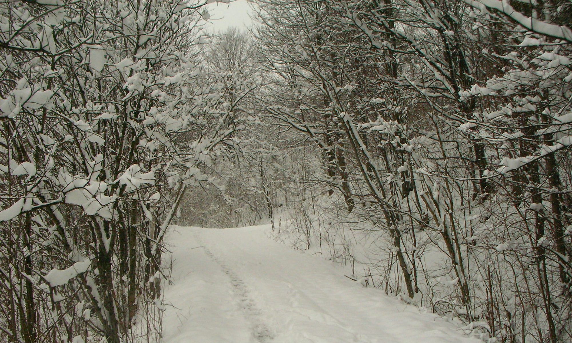 ContextOpen Solutions